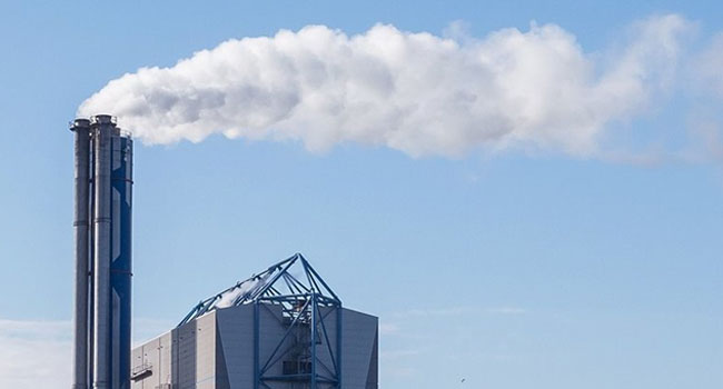 afvalverwerking duiven rokende schoorsteen